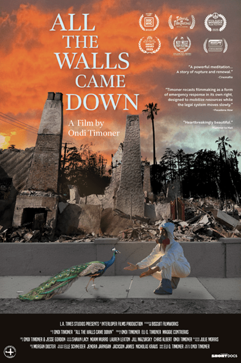 Interview: Ondi Timoner on Turning the Camera on Her Own Devastating Home Loss in ‘All the Walls Came Down’